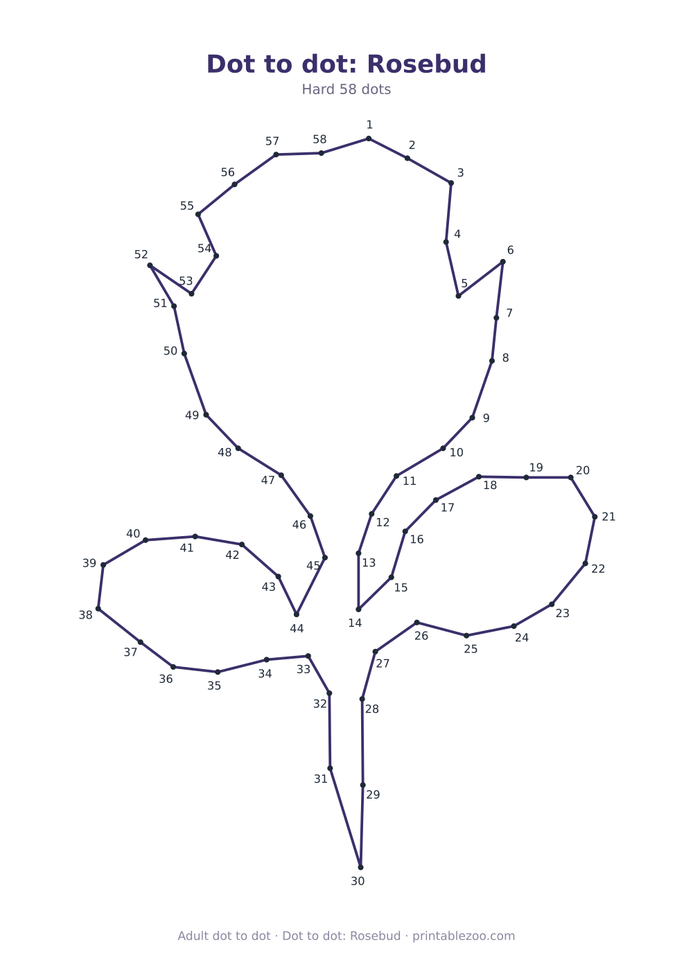 Dot to dot: Rosebud