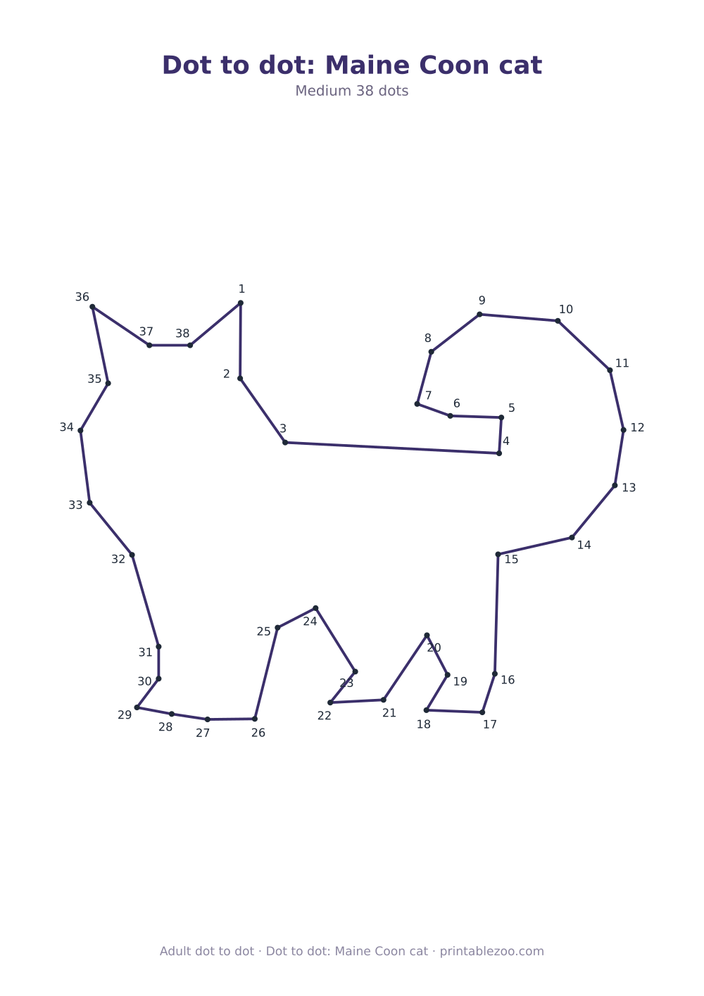 Dot to dot: Maine Coon cat