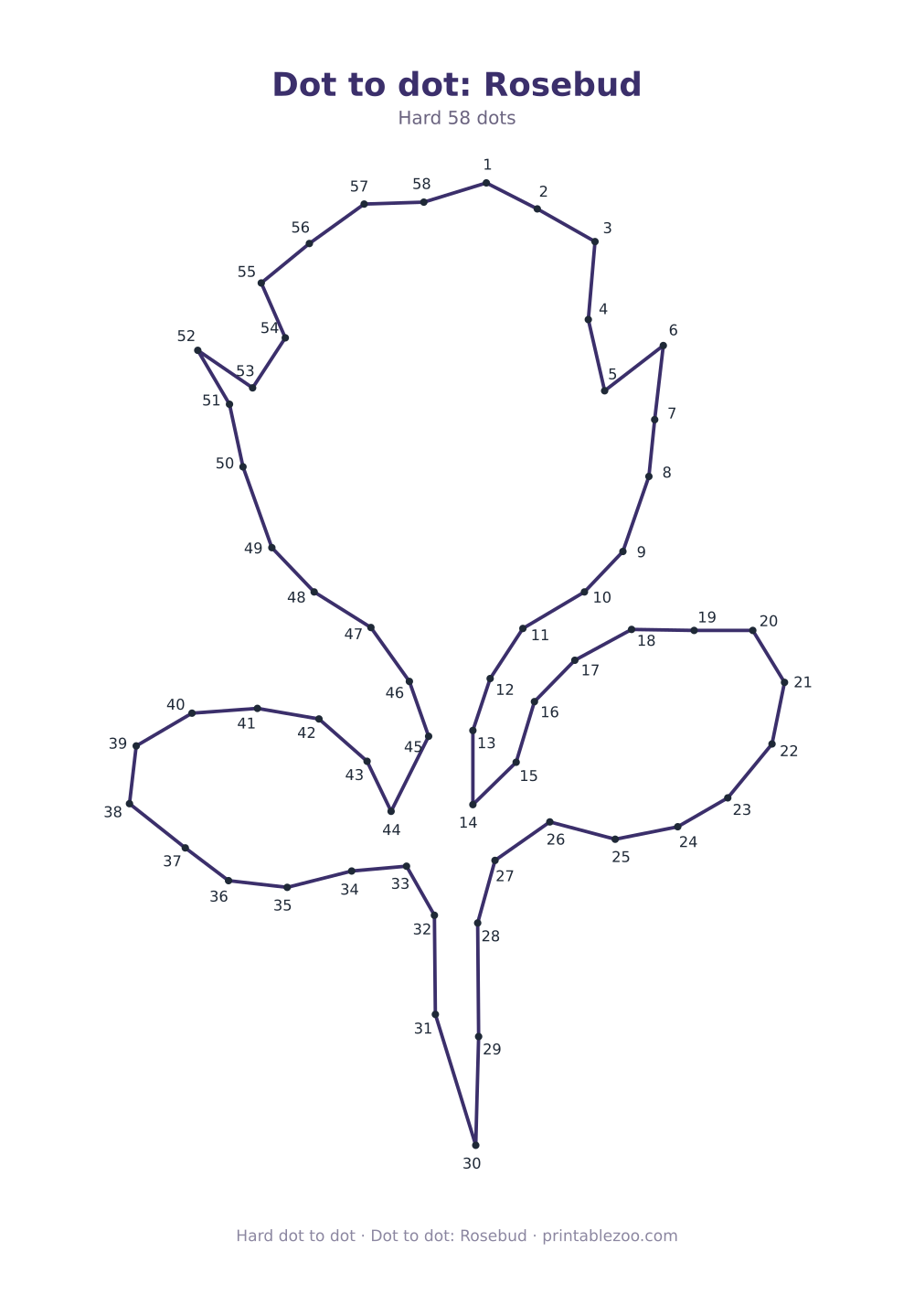 Dot to dot: Rosebud