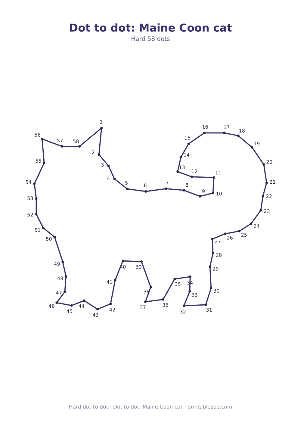 Dot to dot: Maine Coon cat