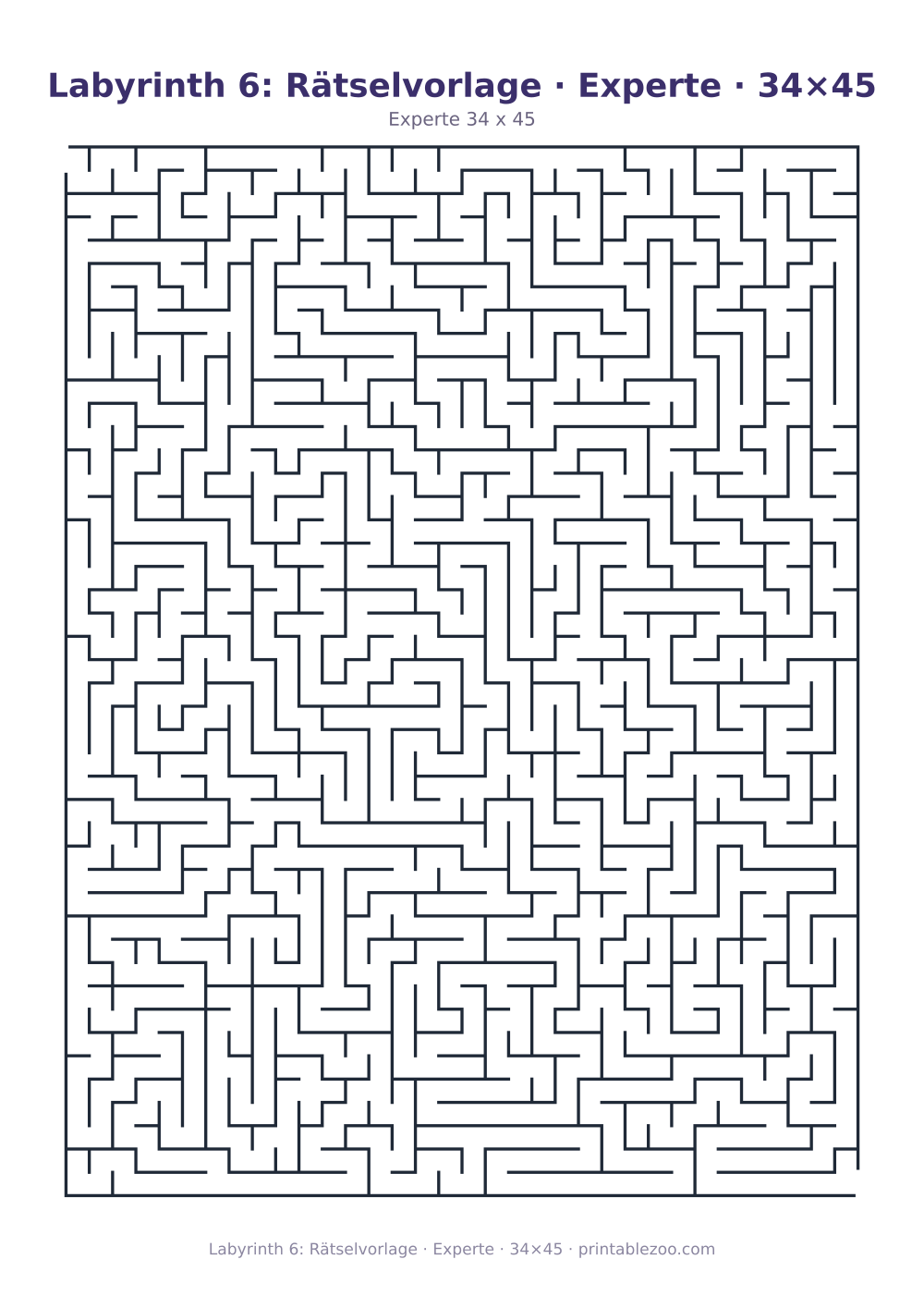 Labyrinth 6: Rätselvorlage · Experte · 34×45 als druckfertige Vorschau, Katalognummer 120306