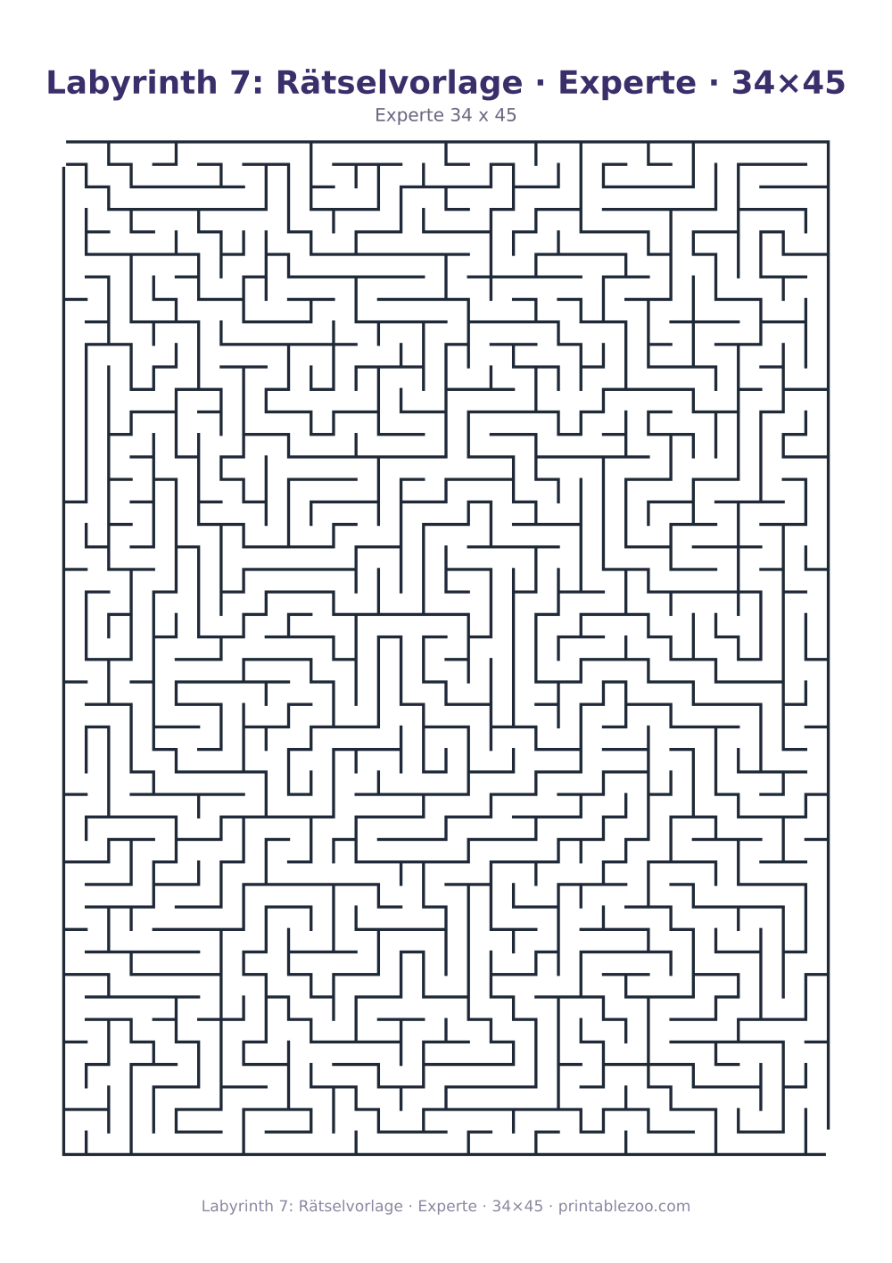 Labyrinth 7: Rätselvorlage · Experte · 34×45 als druckfertige Vorschau, Katalognummer 120307