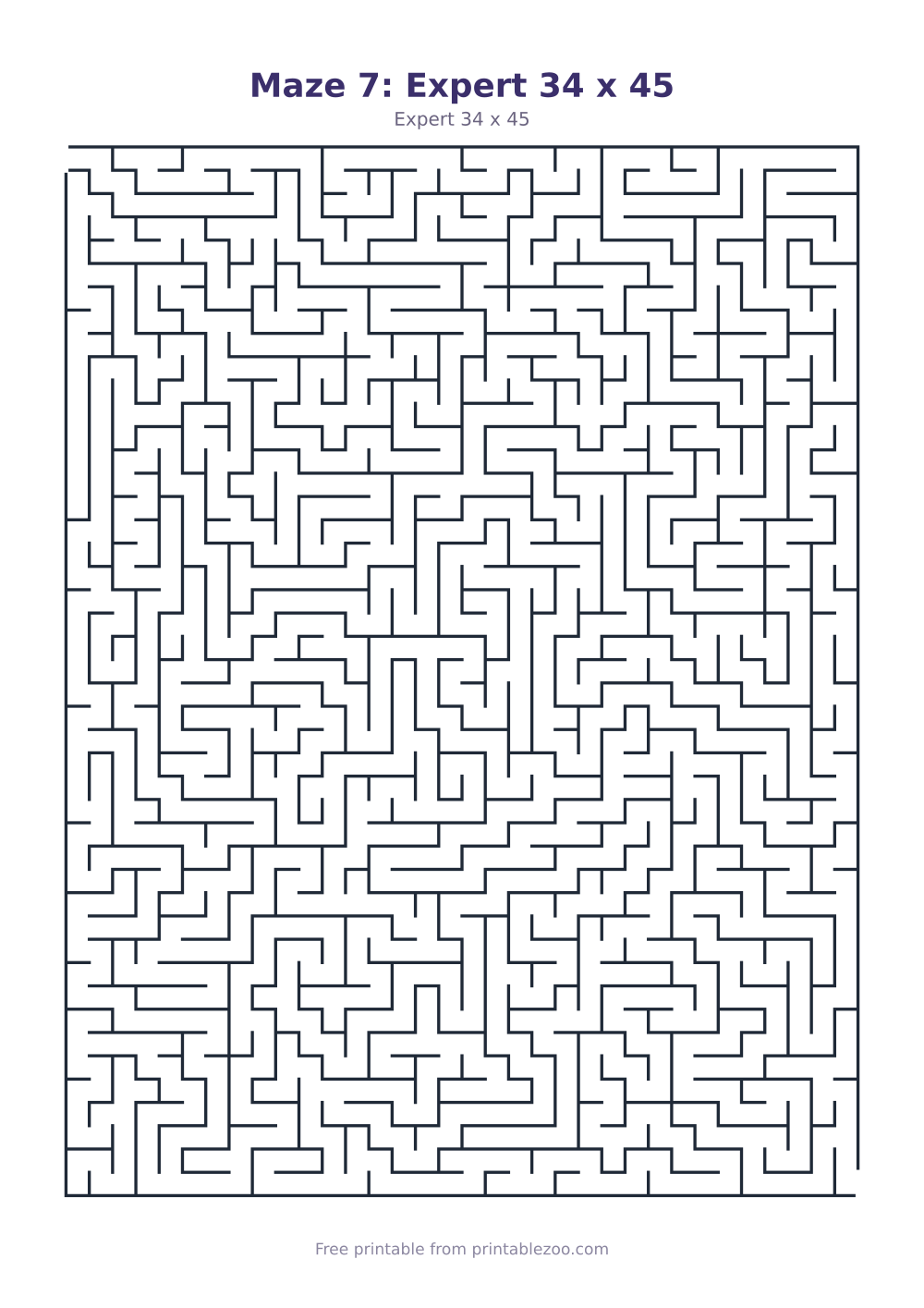 Maze 7: Expert 34 x 45