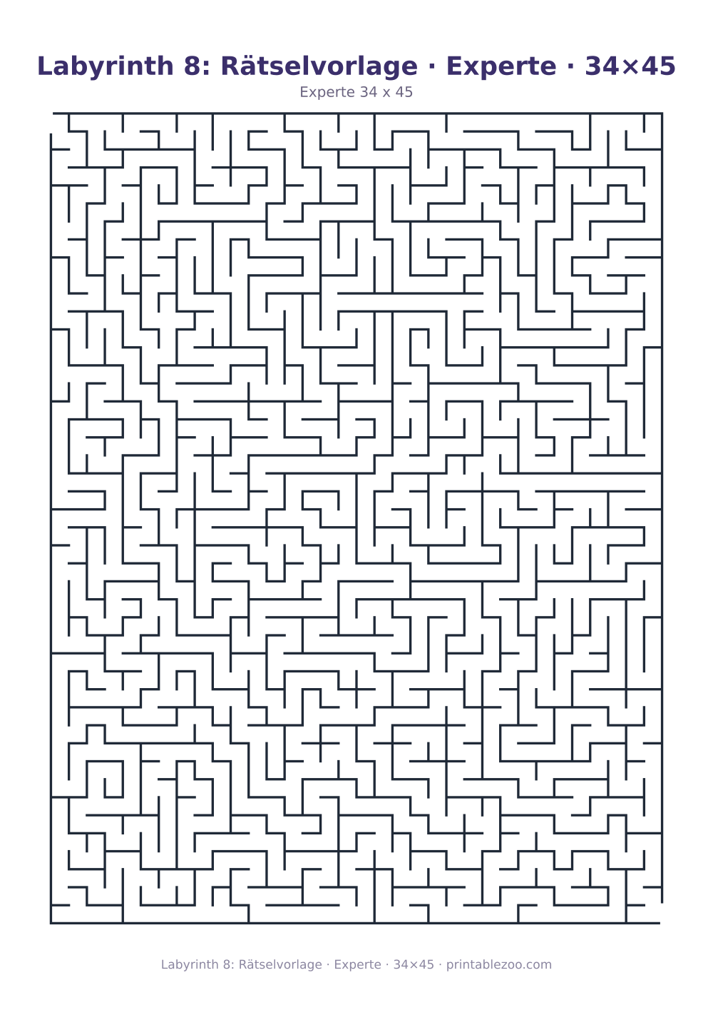 Labyrinth 8: Rätselvorlage · Experte · 34×45 als druckfertige Vorschau, Katalognummer 120308