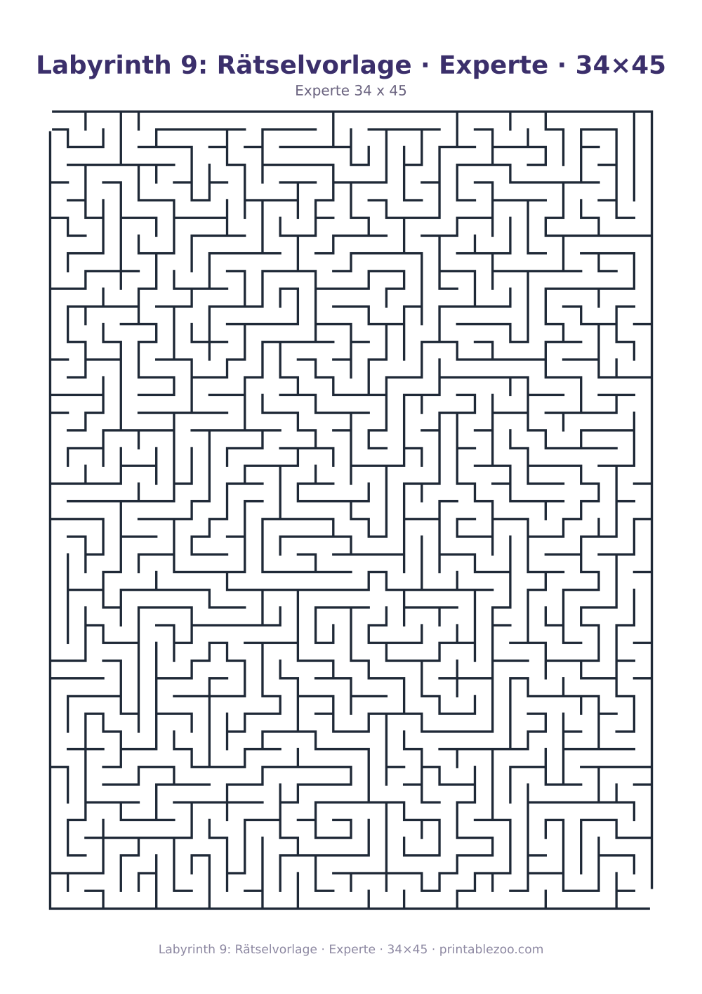 Labyrinth 9: Rätselvorlage · Experte · 34×45 als druckfertige Vorschau, Katalognummer 120309