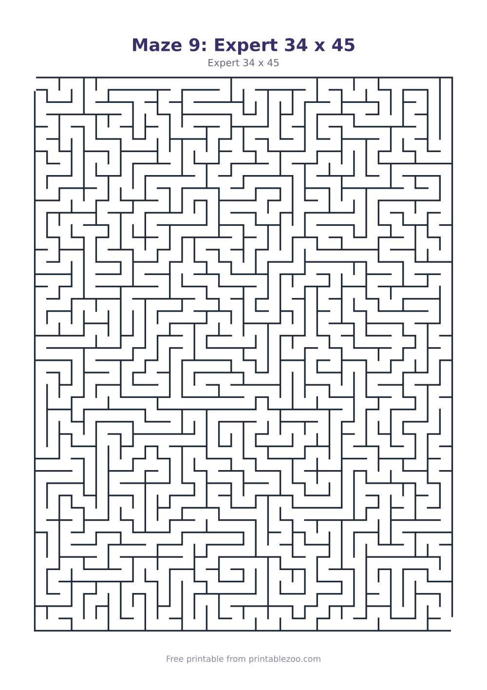 Maze 9: Expert 34 x 45