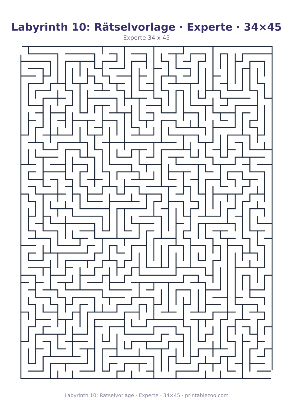Labyrinth 10: Rätselvorlage · Experte · 34×45 als druckfertige Vorschau, Katalognummer 120310