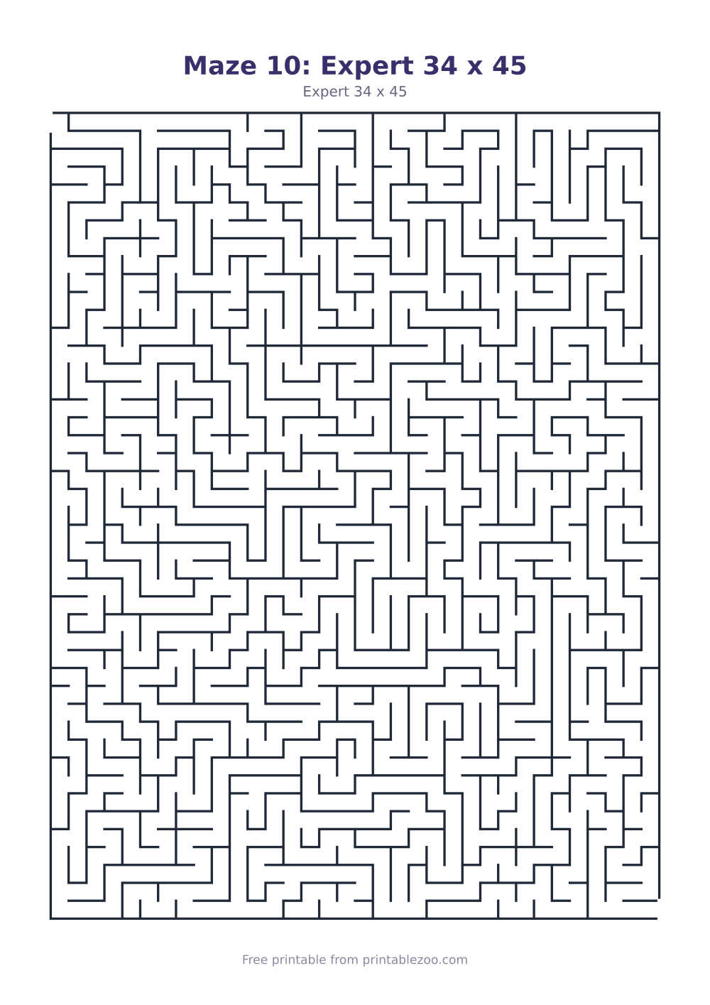 Maze 10: Expert 34 x 45