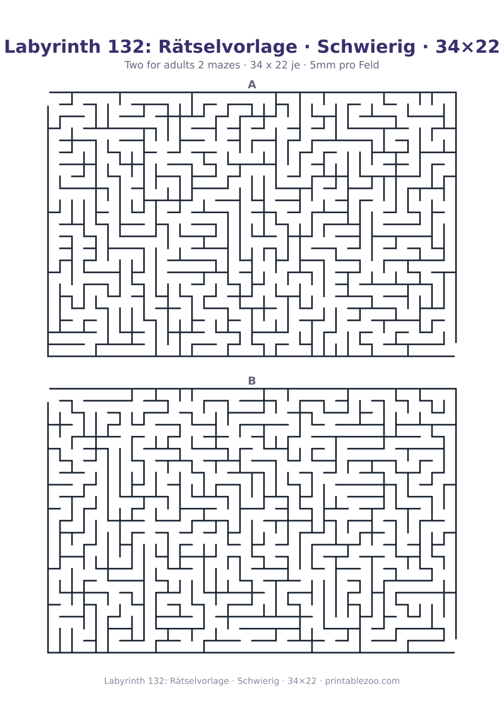 Labyrinth 132: Rätselvorlage · Schwierig · 34×22 als druckfertige Vorschau, Katalognummer 160252 Rätsel Nr. 160252.