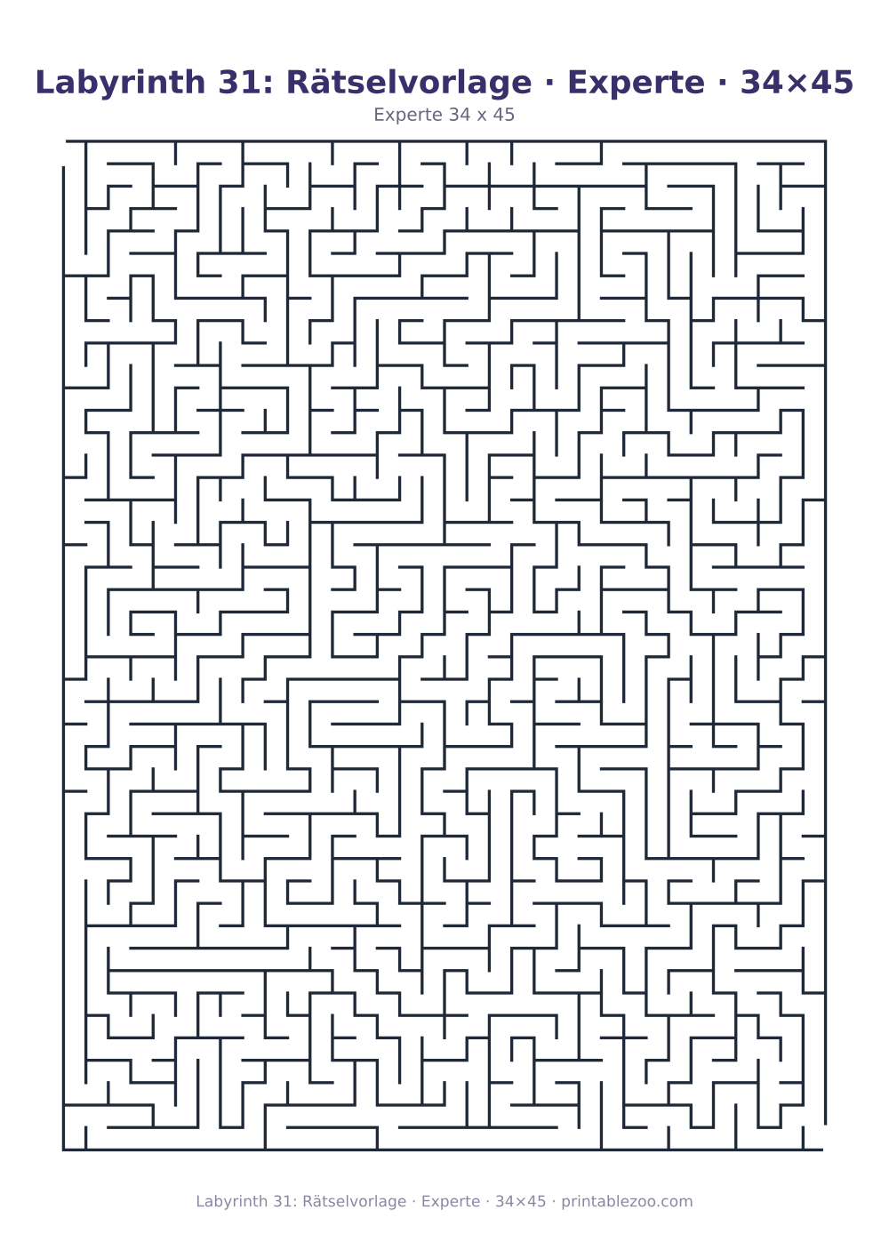Labyrinth 31: Rätselvorlage · Experte · 34×45 als druckfertige Vorschau, Katalognummer 120331