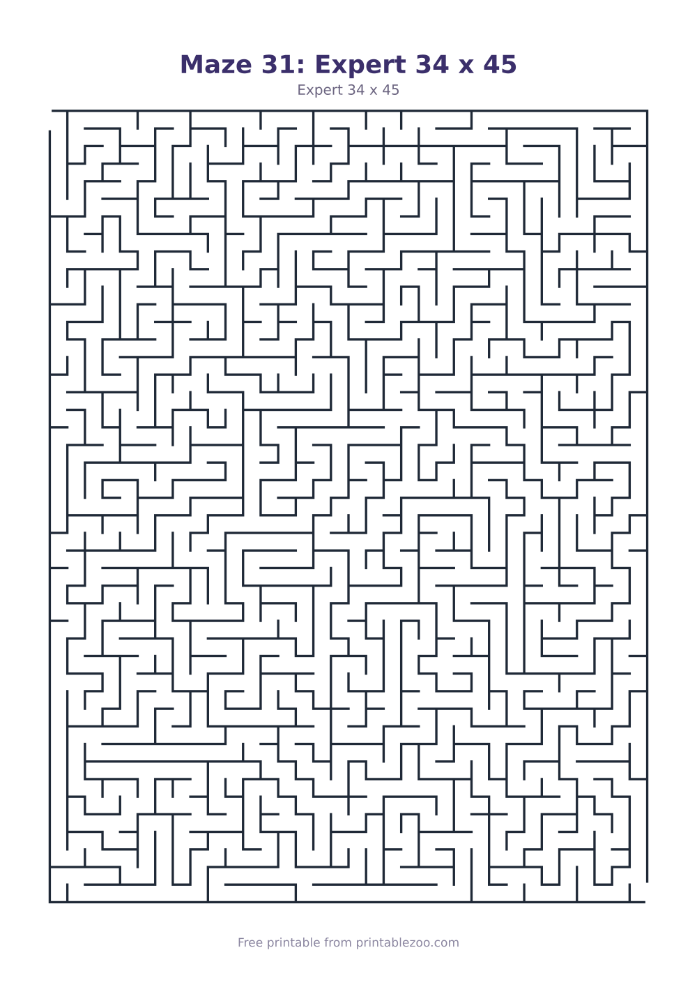 Maze 31: Expert 34 x 45