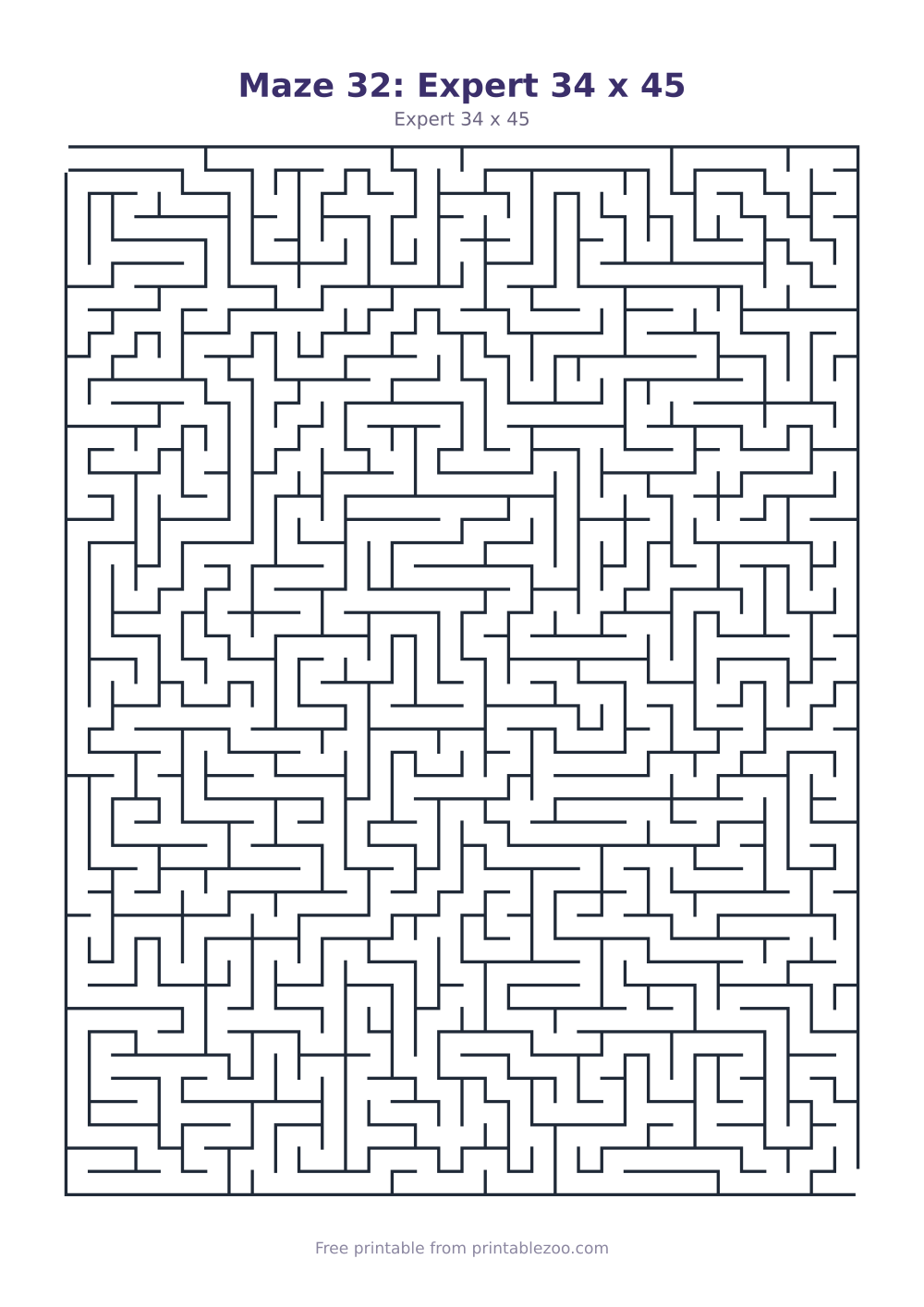 Maze 32: Expert 34 x 45