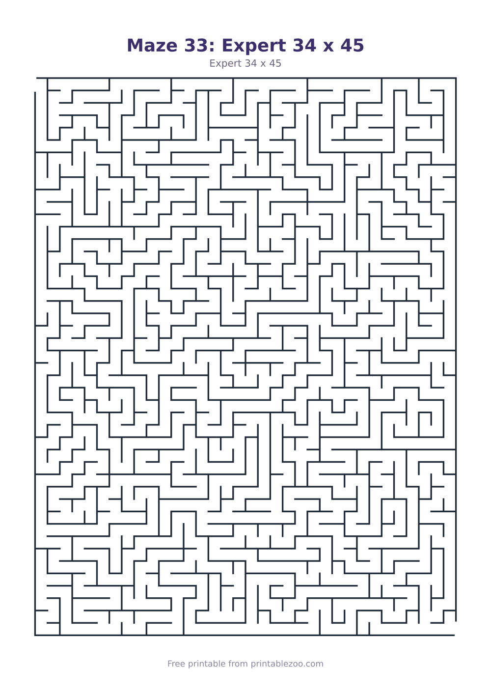 Maze 33: Expert 34 x 45