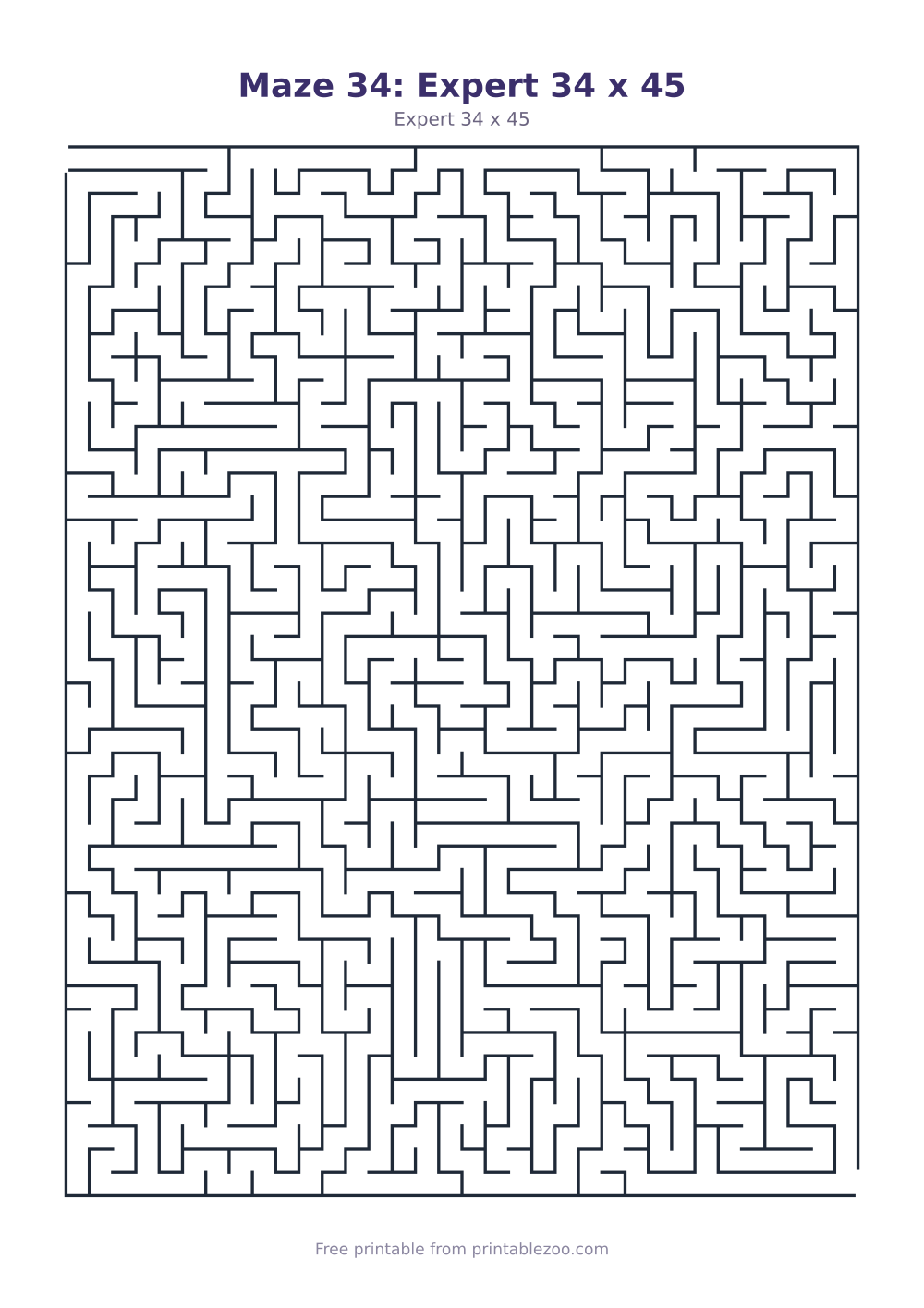 Maze 34: Expert 34 x 45