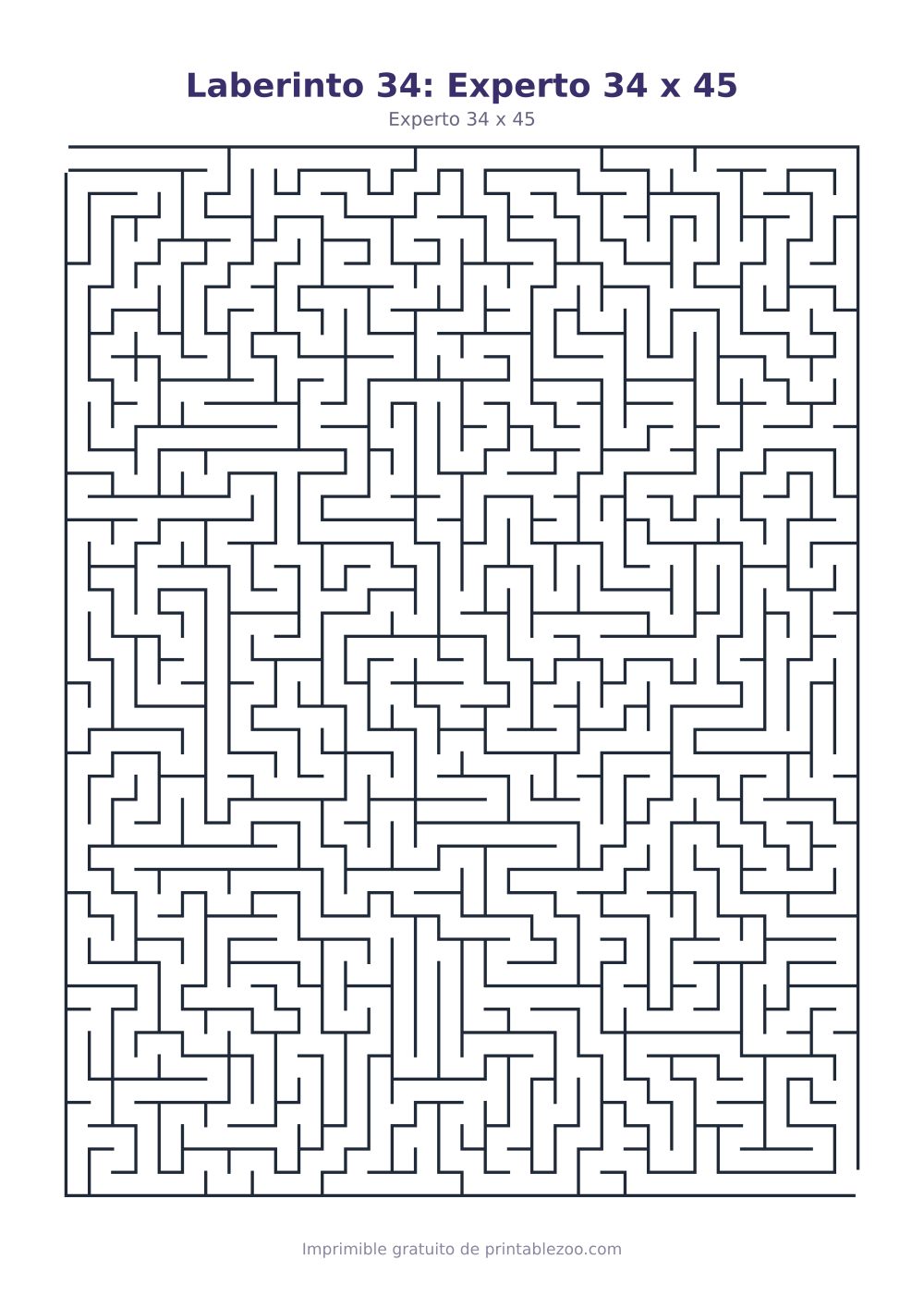 Laberinto 34: Experto 34 x 45
