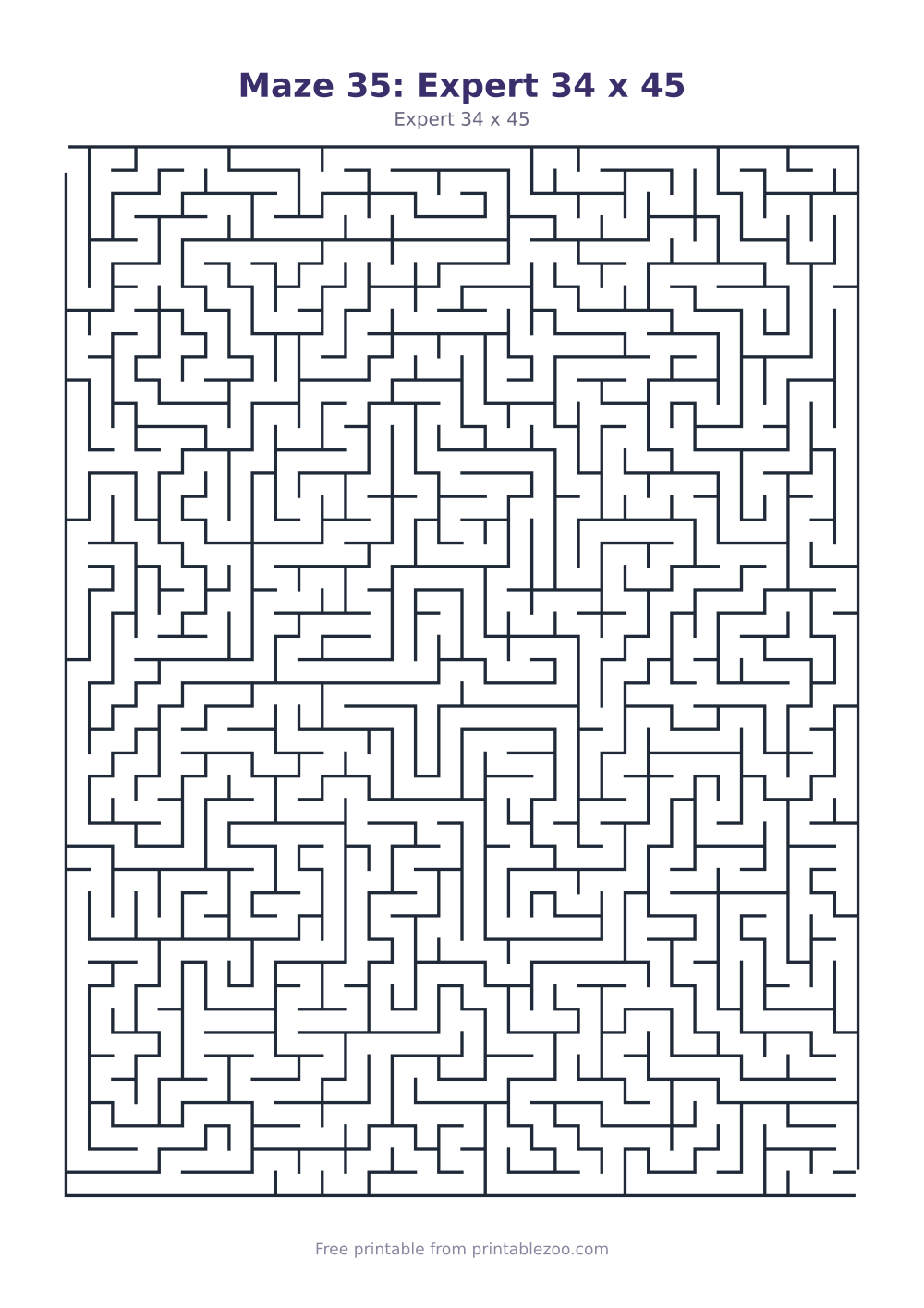 Maze 35: Expert 34 x 45