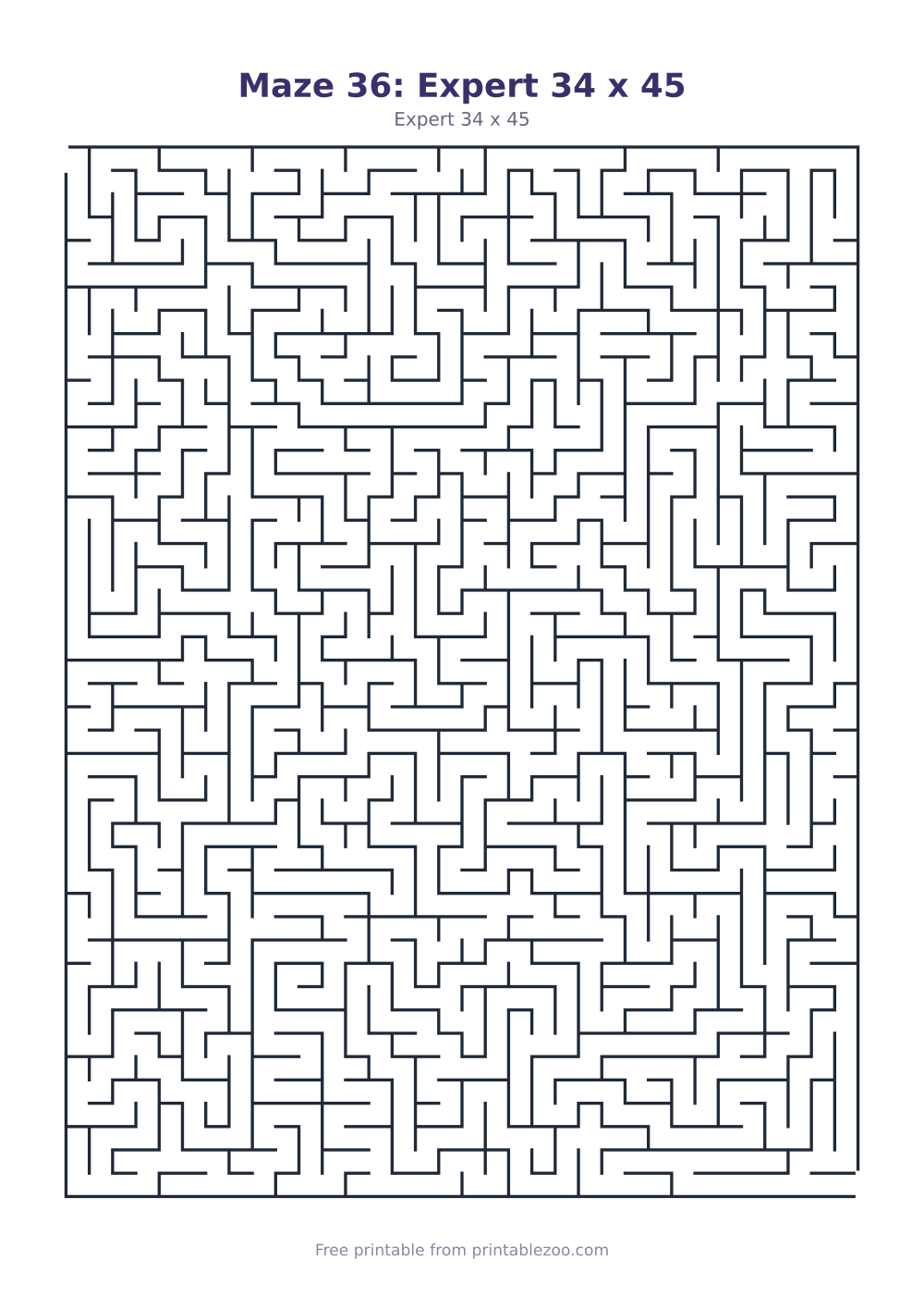 Maze 36: Expert 34 x 45