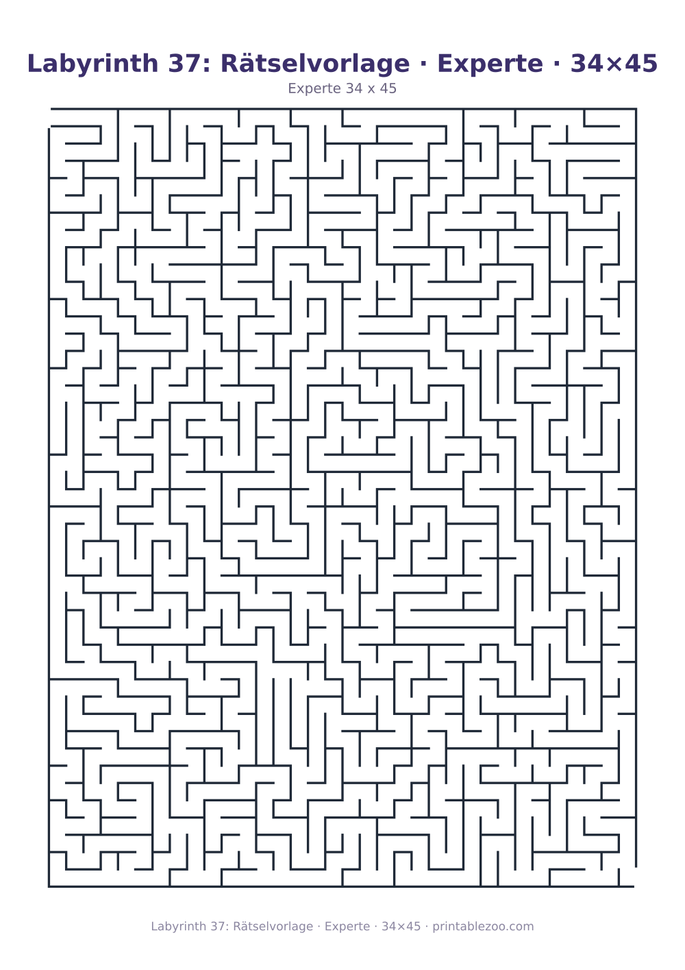 Labyrinth 37: Rätselvorlage · Experte · 34×45 als druckfertige Vorschau, Katalognummer 120337