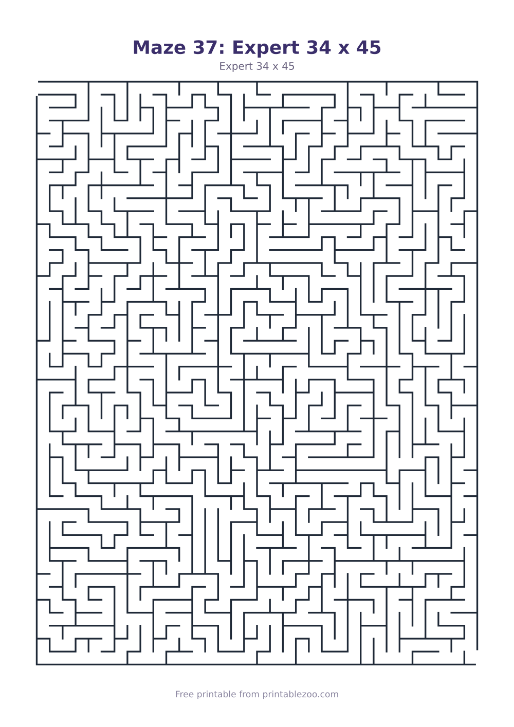 Maze 37: Expert 34 x 45