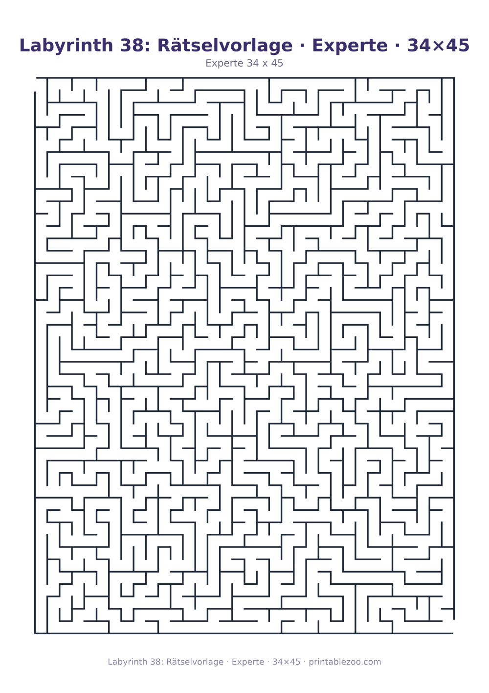 Labyrinth 38: Rätselvorlage · Experte · 34×45 als druckfertige Vorschau, Katalognummer 120338