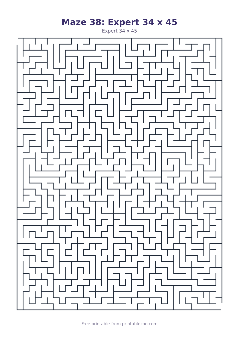 Maze 38: Expert 34 x 45