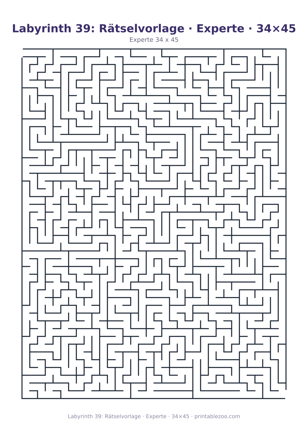 Labyrinth 39: Rätselvorlage · Experte · 34×45 als druckfertige Vorschau, Katalognummer 120339