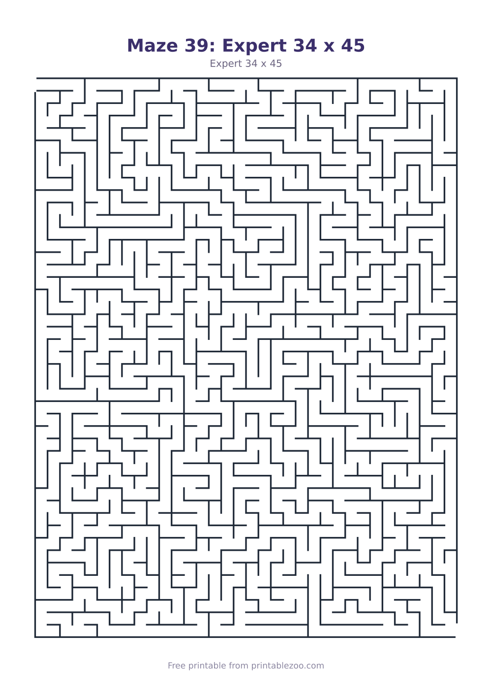 Maze 39: Expert 34 x 45