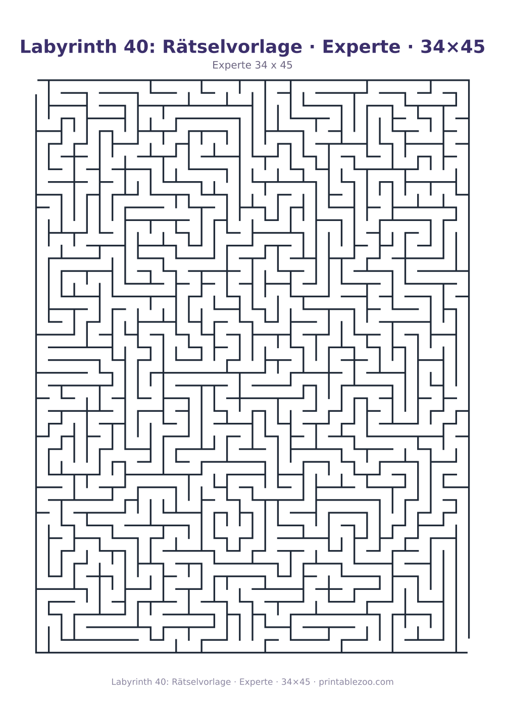 Labyrinth 40: Rätselvorlage · Experte · 34×45 als druckfertige Vorschau, Katalognummer 120340