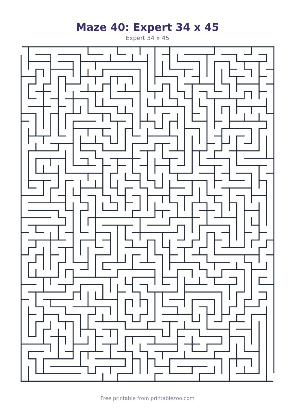 Maze 40: Expert 34 x 45
