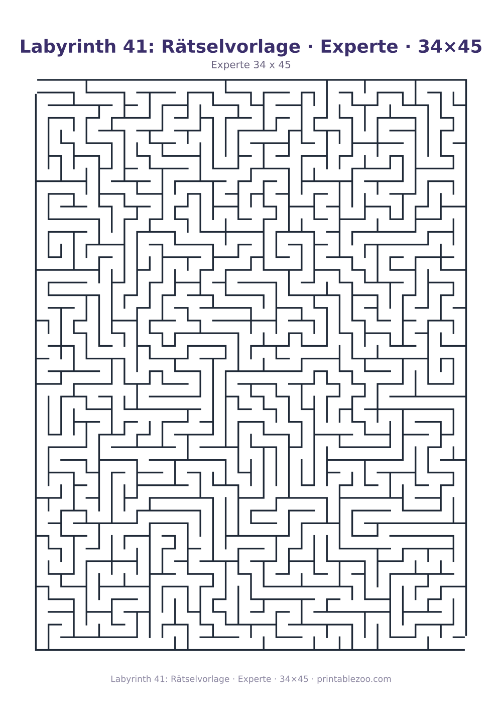 Labyrinth 41: Rätselvorlage · Experte · 34×45 als druckfertige Vorschau, Katalognummer 120341