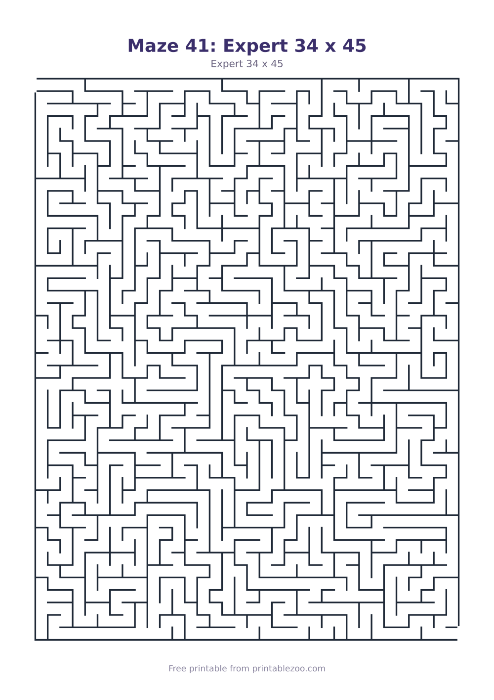 Maze 41: Expert 34 x 45