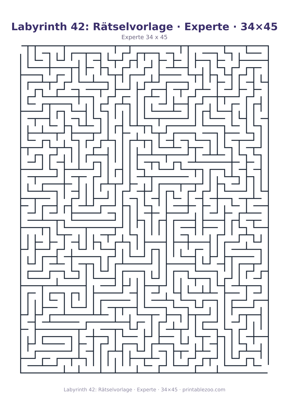 Labyrinth 42: Rätselvorlage · Experte · 34×45 als druckfertige Vorschau, Katalognummer 120342