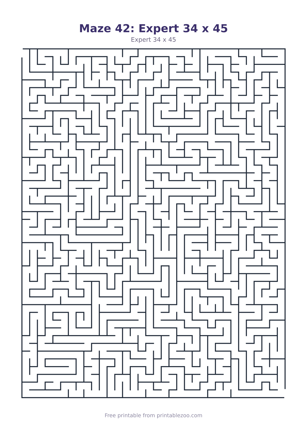 Maze 42: Expert 34 x 45