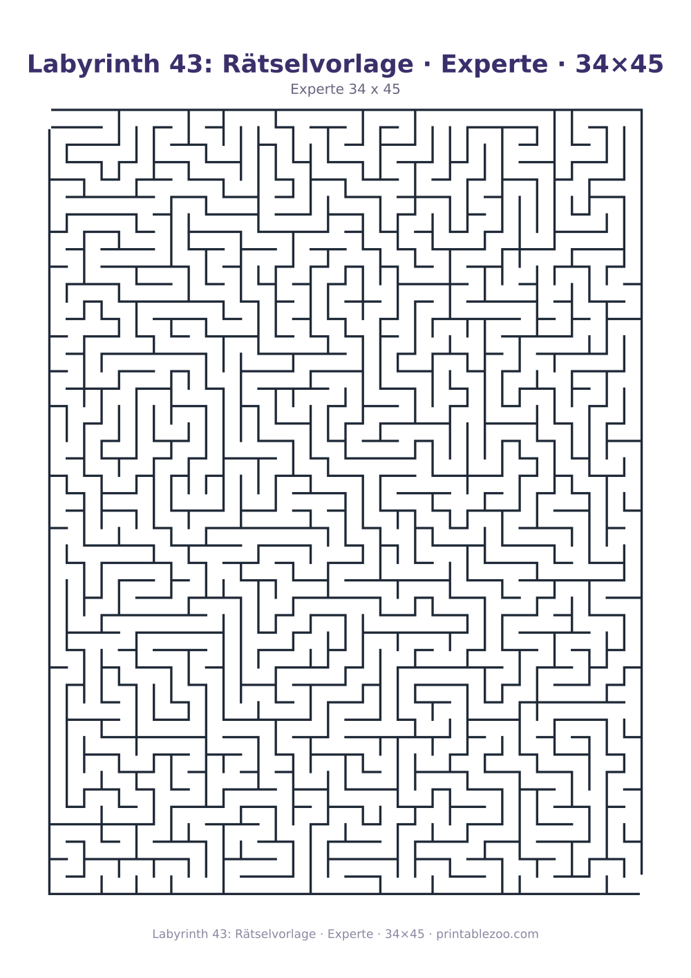 Labyrinth 43: Rätselvorlage · Experte · 34×45 als druckfertige Vorschau, Katalognummer 120343
