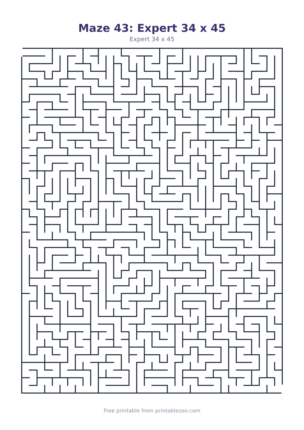 Maze 43: Expert 34 x 45