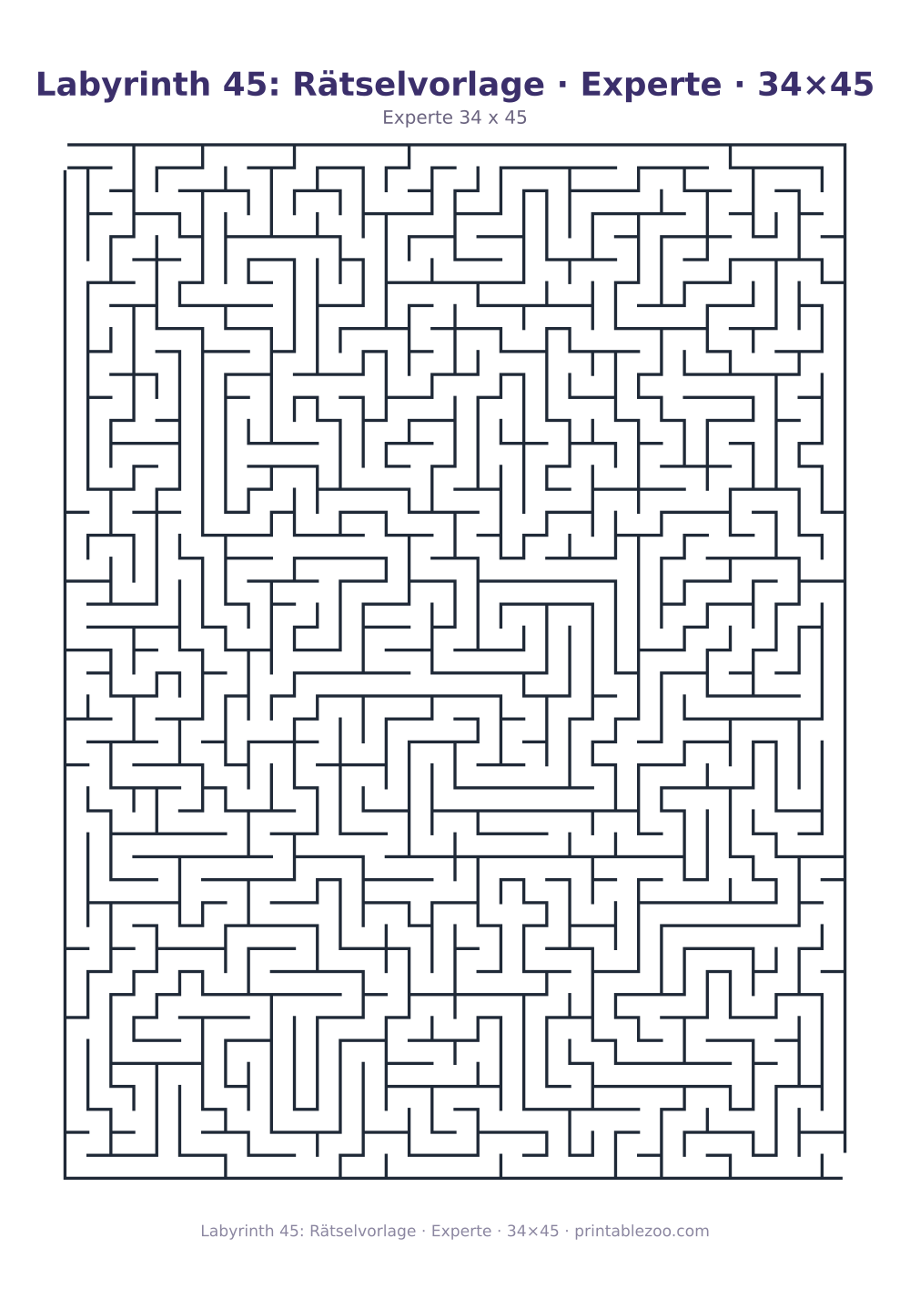 Labyrinth 45: Rätselvorlage · Experte · 34×45 als druckfertige Vorschau, Katalognummer 120345