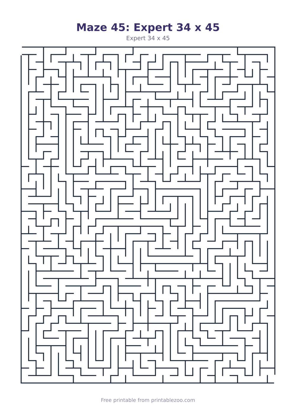 Maze 45: Expert 34 x 45