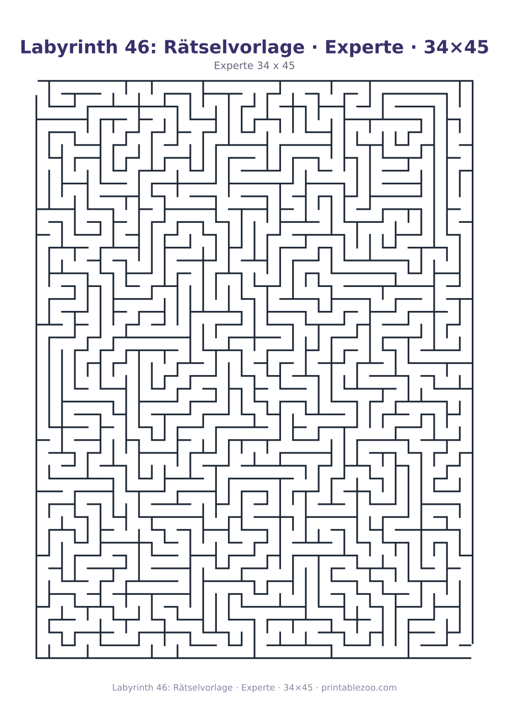 Labyrinth 46: Rätselvorlage · Experte · 34×45 als druckfertige Vorschau, Katalognummer 120346