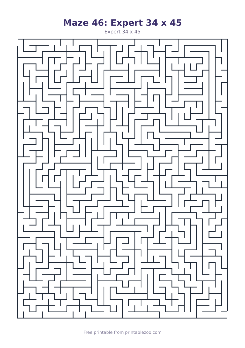 Maze 46: Expert 34 x 45