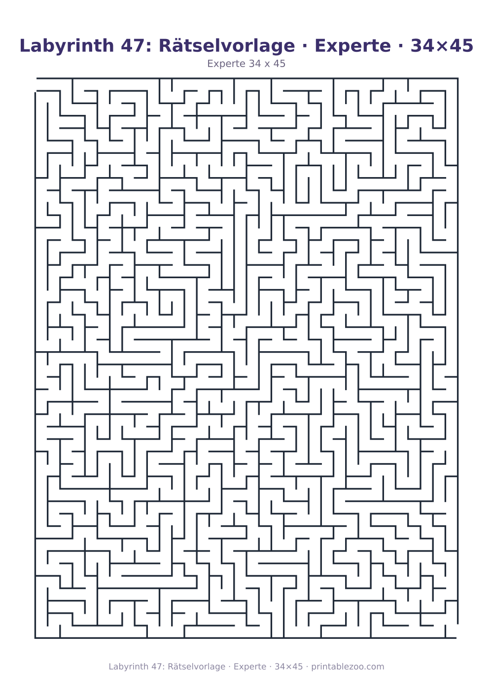 Labyrinth 47: Rätselvorlage · Experte · 34×45 als druckfertige Vorschau, Katalognummer 120347