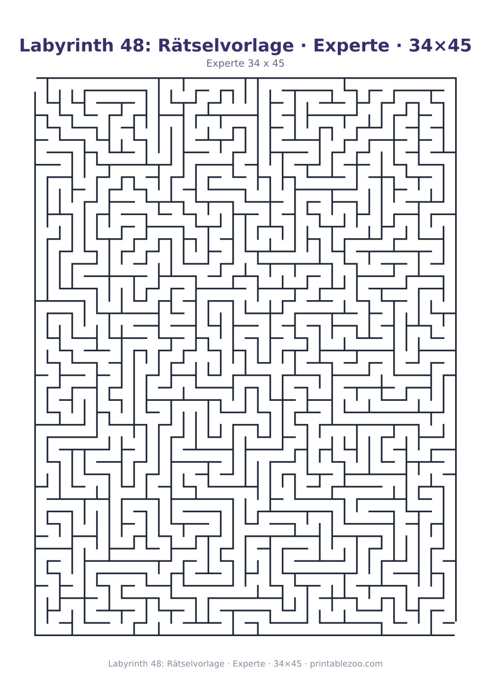 Labyrinth 48: Rätselvorlage · Experte · 34×45 als druckfertige Vorschau, Katalognummer 120348