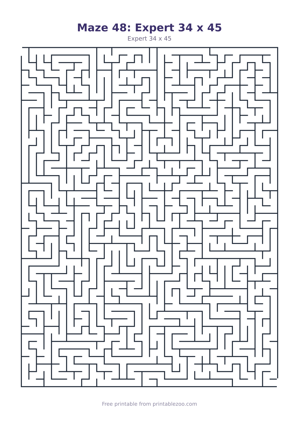 Maze 48: Expert 34 x 45