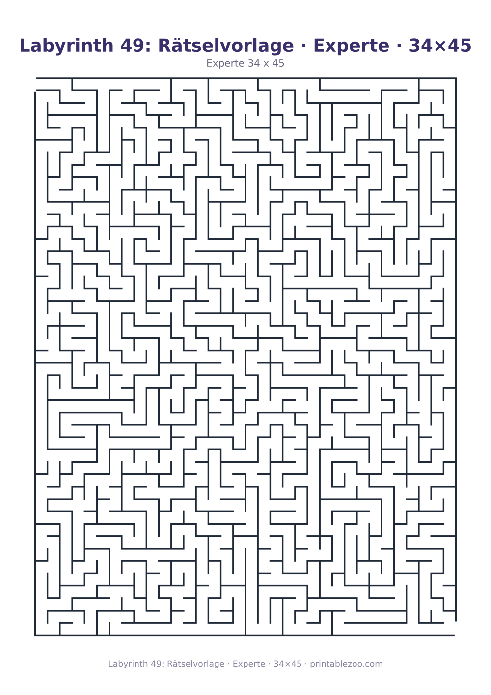 Labyrinth 49: Rätselvorlage · Experte · 34×45 als druckfertige Vorschau, Katalognummer 120349