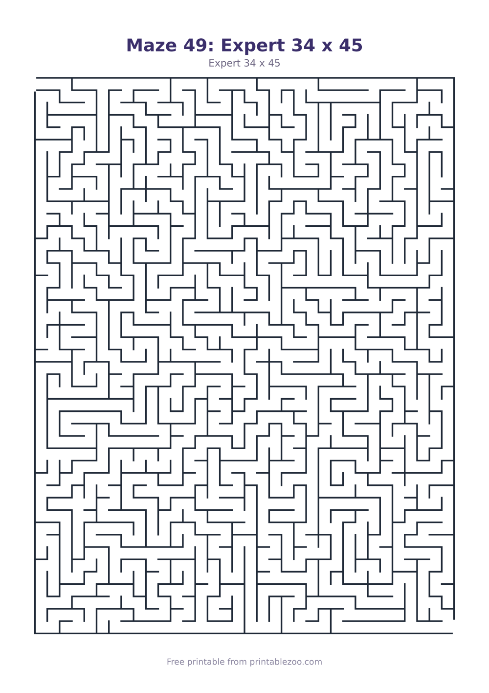 Maze 49: Expert 34 x 45