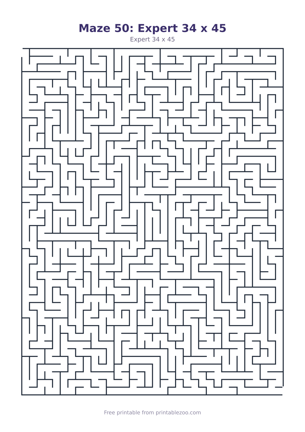 Maze 50: Expert 34 x 45