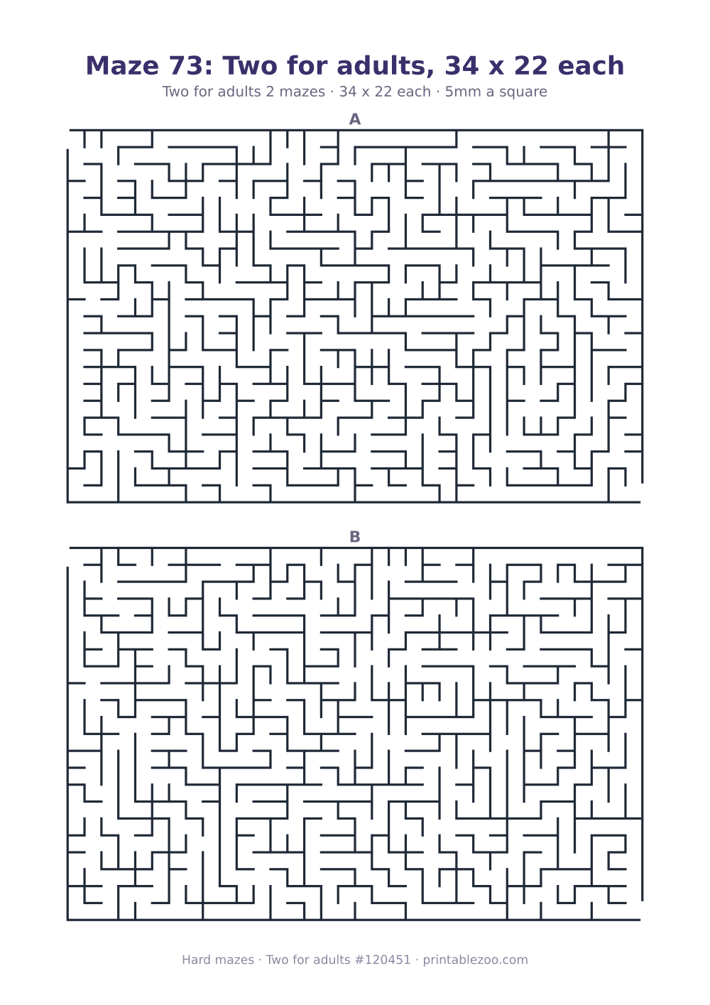 Printable sheet of 2 hard mazes for adults, 34 by 22 squares each and 372 dead ends in all
