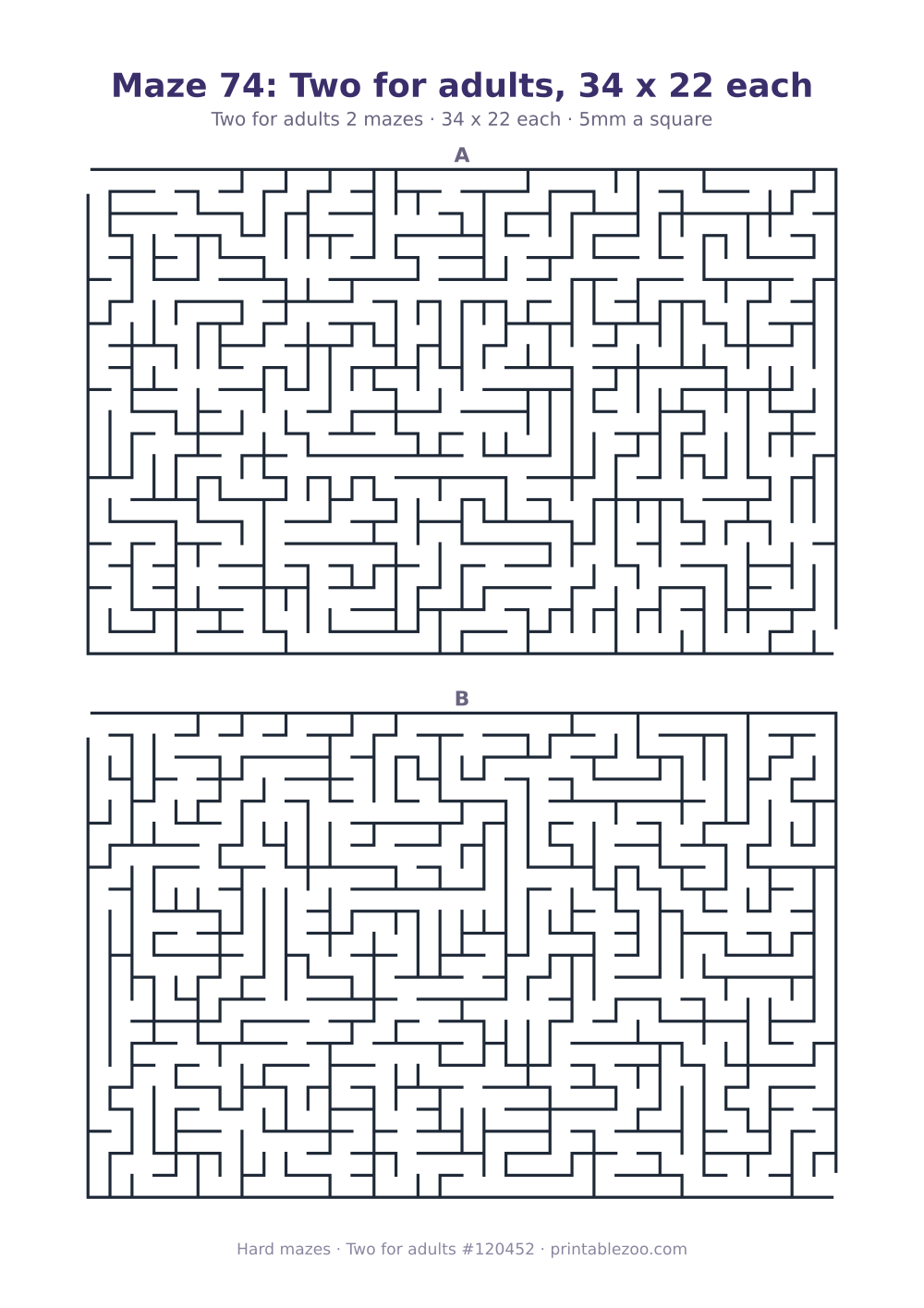 Printable sheet of 2 hard mazes for adults, 34 by 22 squares each and 370 dead ends in all