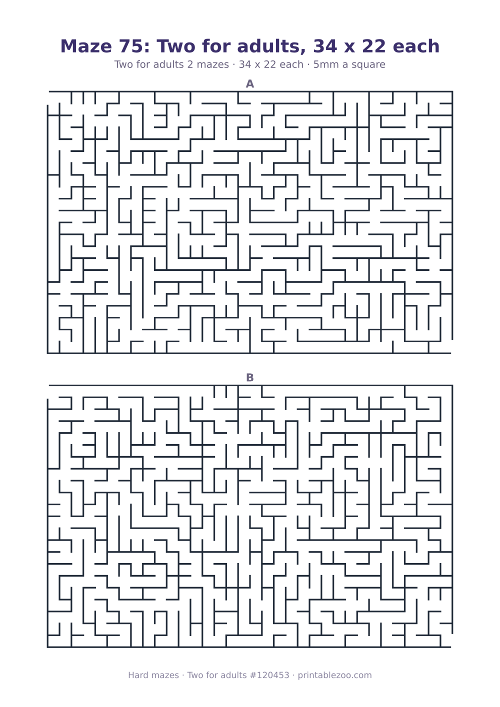 Printable sheet of 2 hard mazes for adults, 34 by 22 squares each and 359 dead ends in all