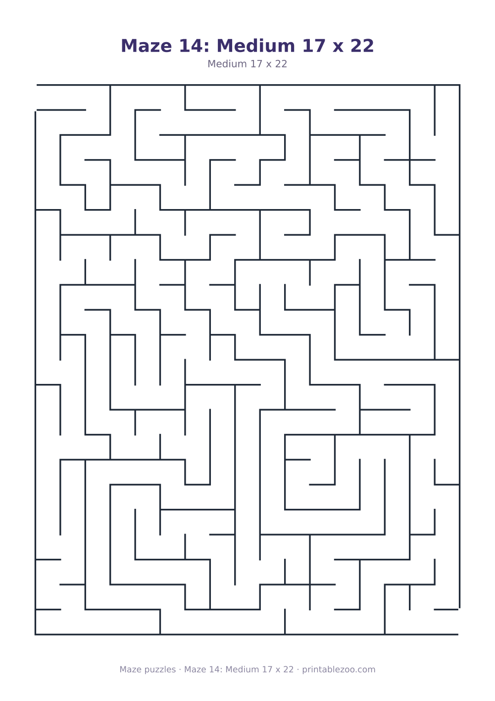 Maze 14: Medium 17 x 22