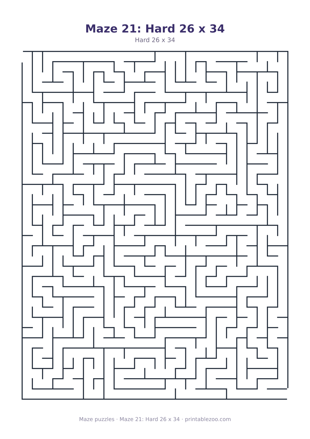 Maze 21: Hard 26 x 34